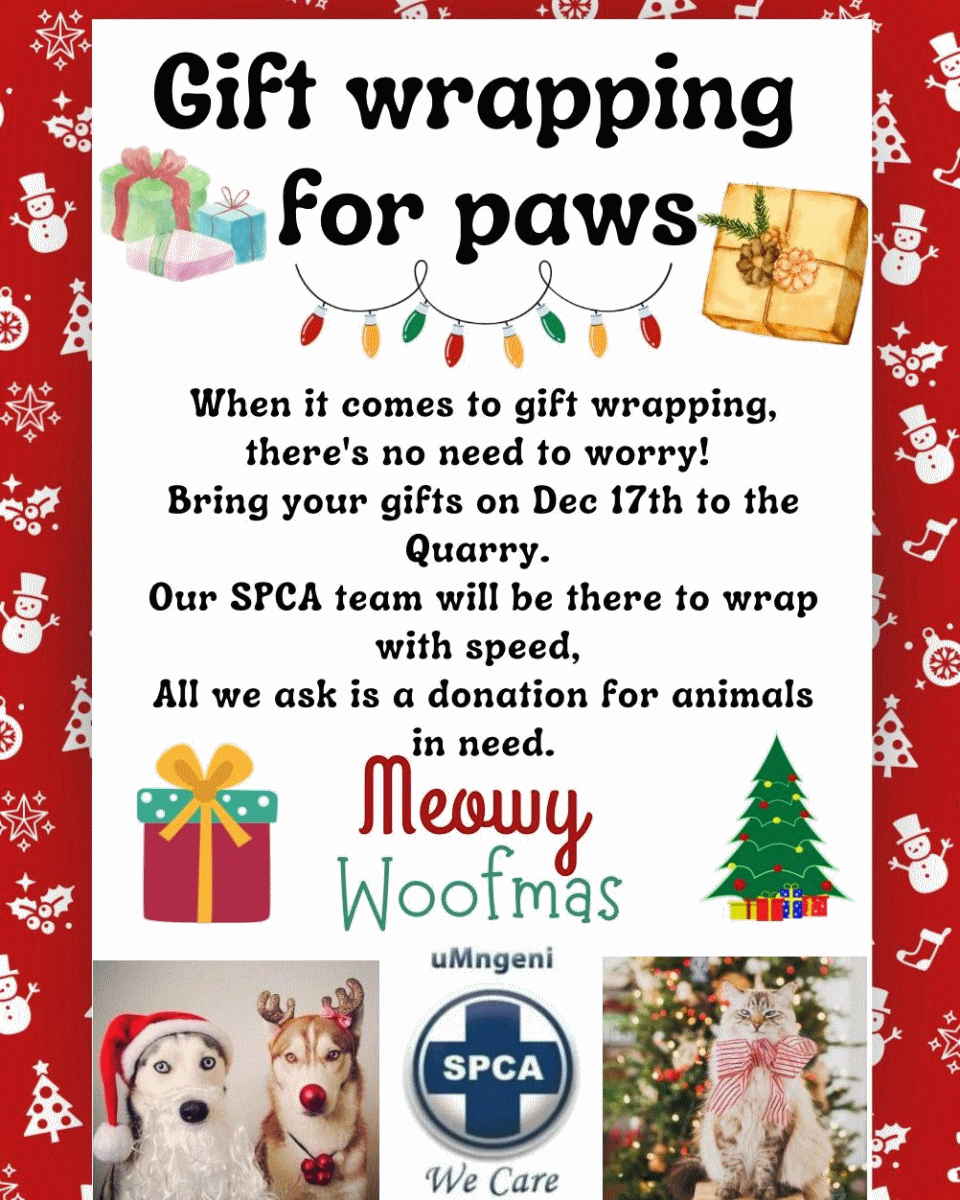 paws fundraiser at the quarry