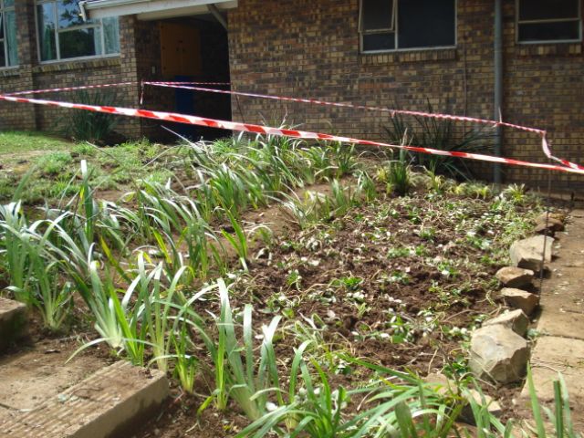 soil erosion after