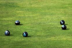 hilton bowling club cover v3 copy copy copy