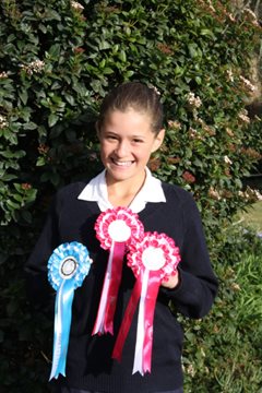 josephine clewlow ribbons