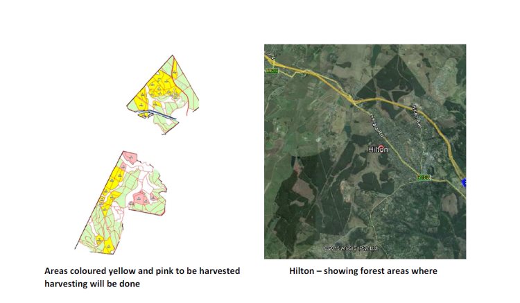 mondi harvesting map copy