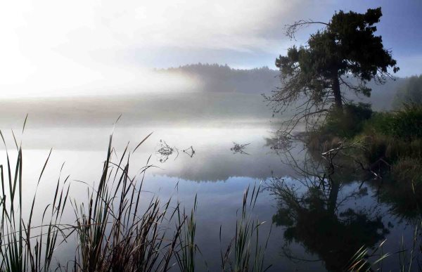 stephen cover mist water