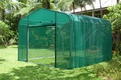 tanglewood protective structure newsy copy