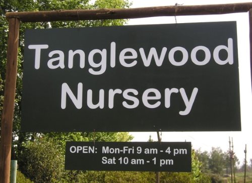 tanglewood sign