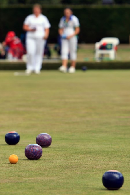 bowls cover
