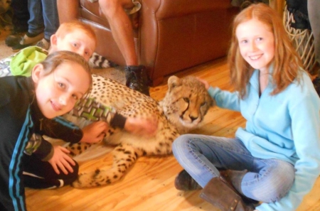 lauren kezia cheetahs