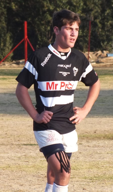 matthew dahl