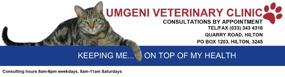 Umgeni footer copy copy
