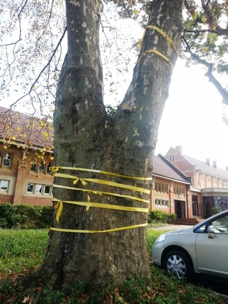 st annes yellow ribbons