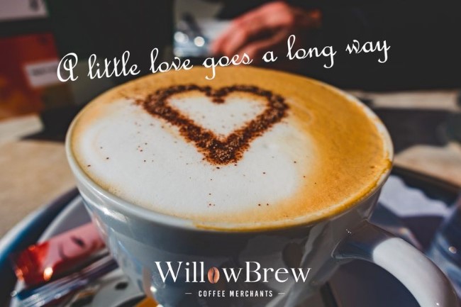 willow brew coffee merchants hilton