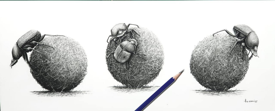 pro mkize sweetwaters artist