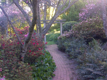 ken collins garden