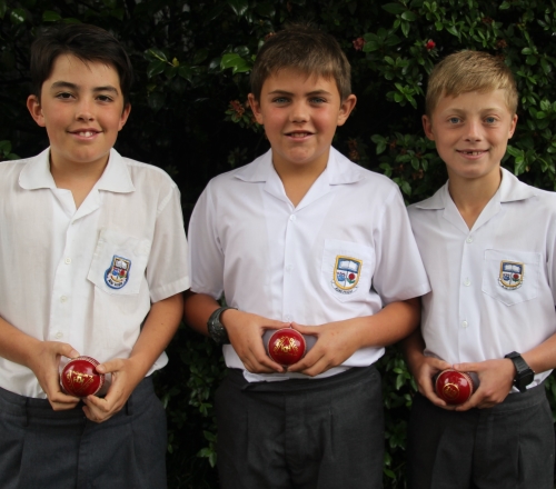 laddswoth cricket Nov