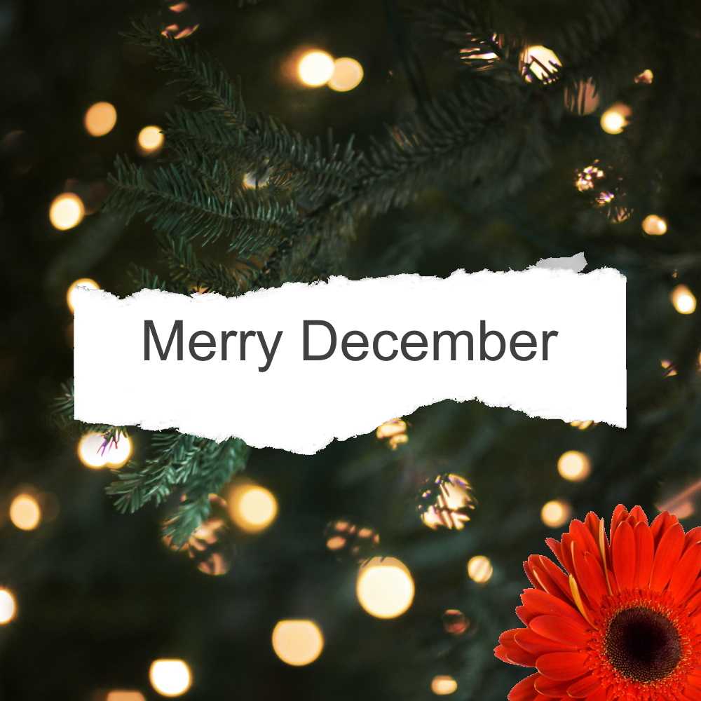 merry december 2021 