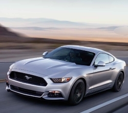 mustang halfway ford 002