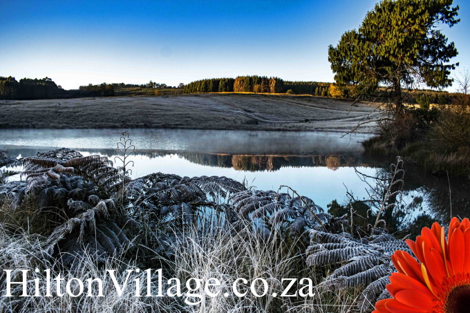 HiltonVillage.co.za