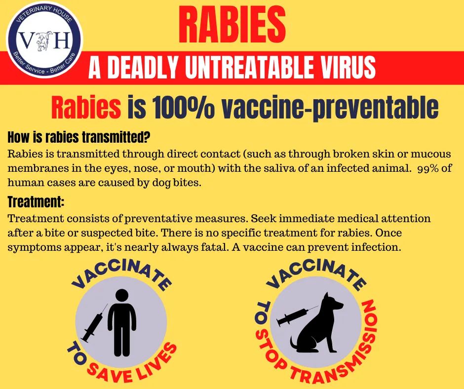 rabies umgeni vet