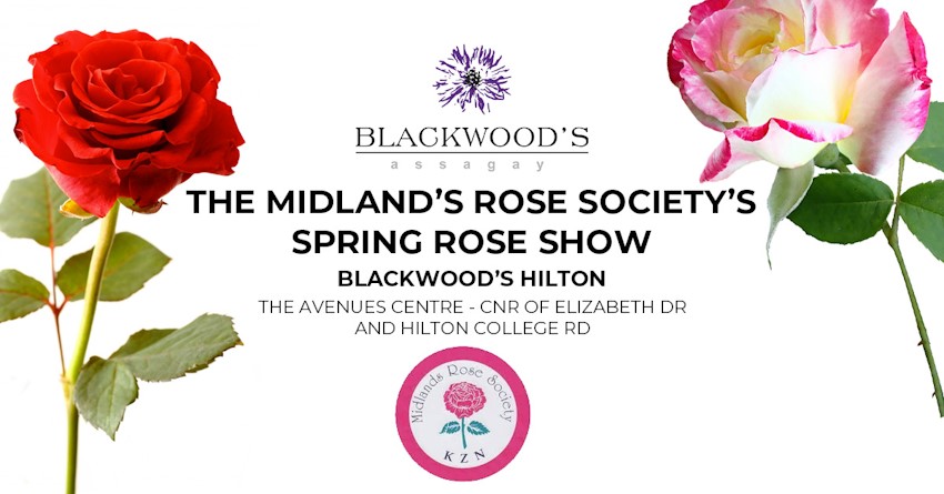 rose show at blackwoods hilton