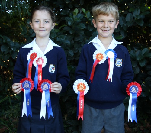 royal show