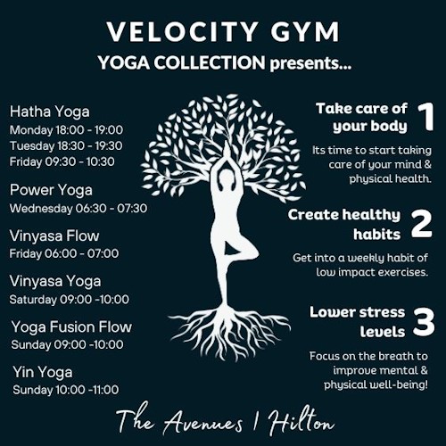 velocity yoga