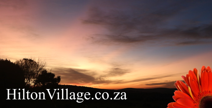 HiltonVillage.co.za